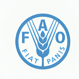 Ministry of Industries & Production